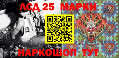 крисы Будённовск