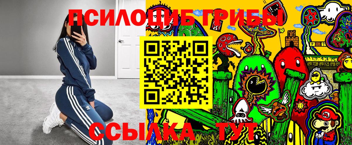 Галлюциногенные грибы Cubensis  Вход с VPN  Тосно  Галлюциногенные грибы Magic Shrooms 