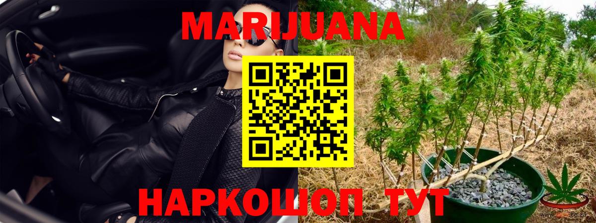 Шишки марихуана индика Тосно